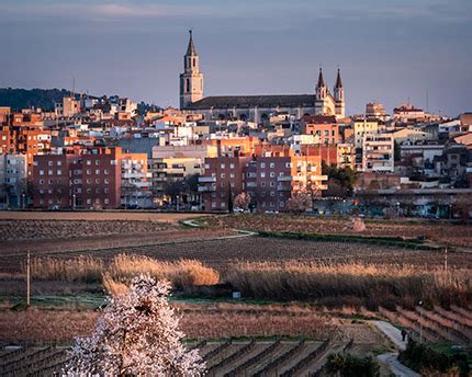 dhl vilafranca|Dhl Vilafranca del Penedés teléfono y direcciones de oficinas